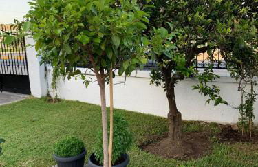 Lýria Boutique Apartments - Foto 23