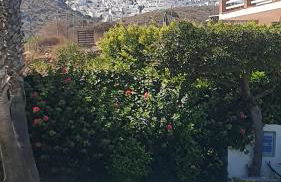 NEPTUNITO: Primera línea con Piscina - Foto 15