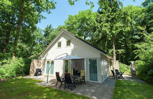 Superb Villa in the Woods of Gaasterland With Wifi and Fireplace - Foto 1