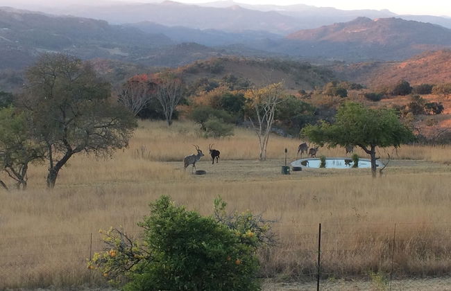 AtNature Luxury Self Catering Cottages - Foto 22