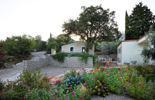 Village Garden Retreat - Photo 10