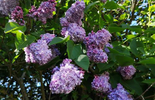 Haus Heike Whg OG - Photo 27