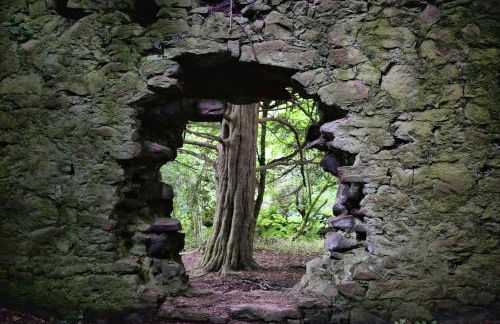 Old Leckie Farmstay - Foto 44