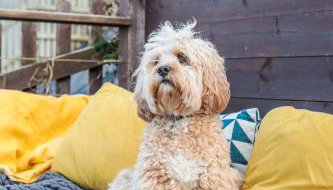 Beach Lovers Paradise in Portreath - With Sea Views & Log Burner just 100m from beach - Foto 2