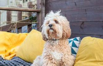 Beach Lovers Paradise in Portreath - With Sea Views & Log Burner just 100m from beach - Photo 2