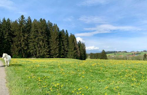 Lindners Hideaways - Bergnest Lodge - Bergblick Fewo 6 Pers Balkon Garten Hund Ski Unterkunft Luftkurort Oberreute nähe Buchenegger Wasserfälle Eistobel Bodensee - Foto 45