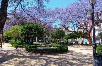 Victoria Flat F&M Moderno, acogedor y céntrico - Foto 38