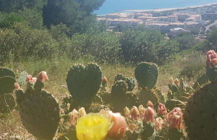 La Perle Marine, Cosy et rénové, 200 m de la plage, 1 chambre, parking et Wifi - Foto 24