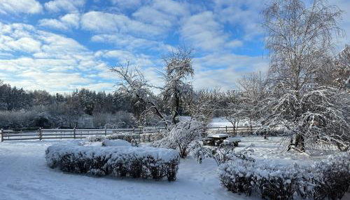 Stajnia Lipowo 45 - Foto 2