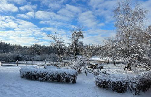 Stajnia Lipowo 45 - Foto 2