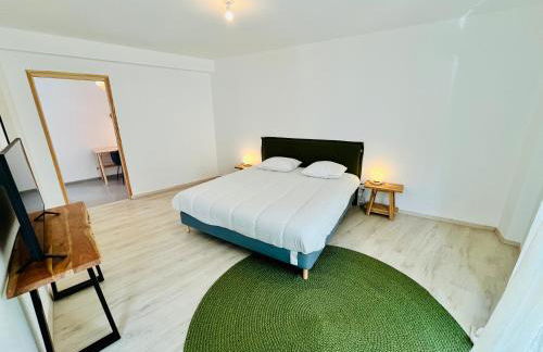 Hypercentre, spacieux, lumineux, la Maison du Rempart - Photo 27