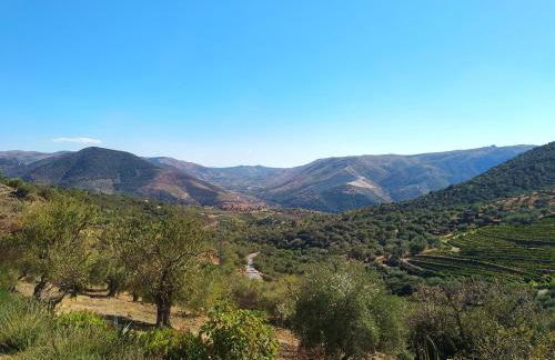 Quinta Vale de Carvalho - Foto 24