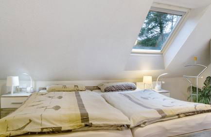 Ferienwohnungen Seeblick - Foto 48