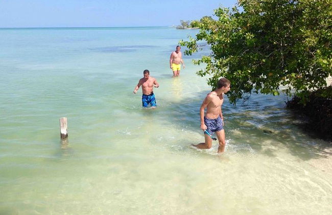 Ganztägige Tour nach Holbox und Passion Island mit Cenote, Transport und Mittagessen - Foto 6