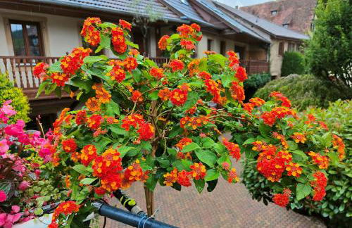 GÎTE DE LA FONTAINE - Foto 33