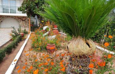 EVIA RIVIERA - Photo 58