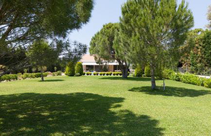 Schinias Paradise - Photo 9