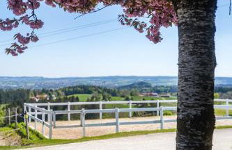 Gut Buchenhof - Photo 16