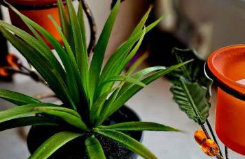 Modern trifft Antik - Foto 23