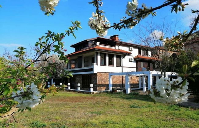 Dream House - Photo 1