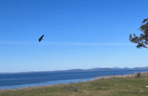 Cliffside Cottage - Foto 57