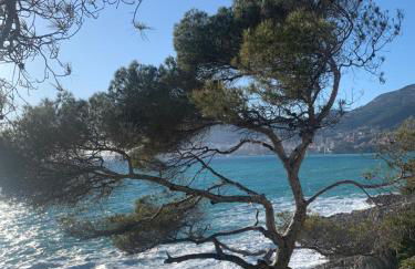 Castiello B&B - Foto 26