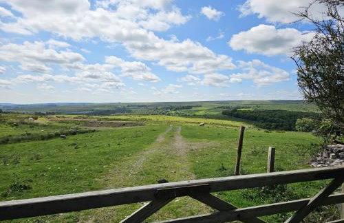 Petty Knowes Cottage - Foto 41