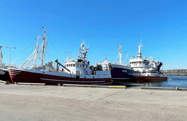 8 Person Holiday Home in Vastra Frolunda-by Traum - Foto 4