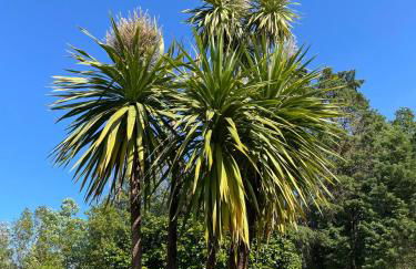 Quinta da Encavalada - Foto 34