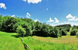 La périgourdine - Foto 8