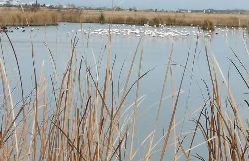 Blanca Mar - Foto 11