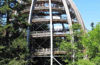 Ferienhaus Meineke - Foto 16