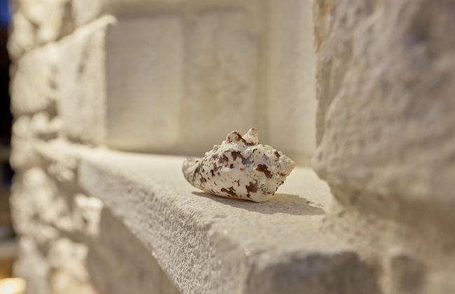 Sunrise Pelion Villas Sea View 2 - Foto 28