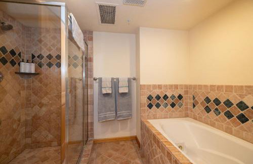 Ski in Ski out Main Street Balcony Hot Tub - Photo 27