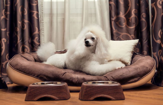 City Residence Apartment Hotel - Foto 55