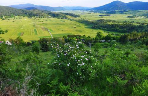 Apartman Nikica - Foto 18