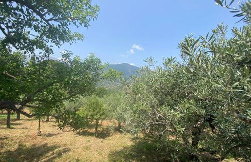 Cicero’s - Intero alloggio - Foto 47