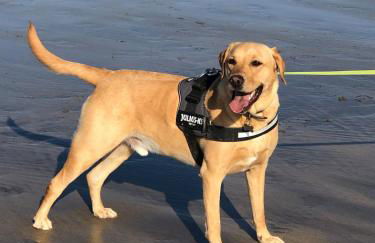 Sea views and stunning sunsets! Fantastic location - Foto 30