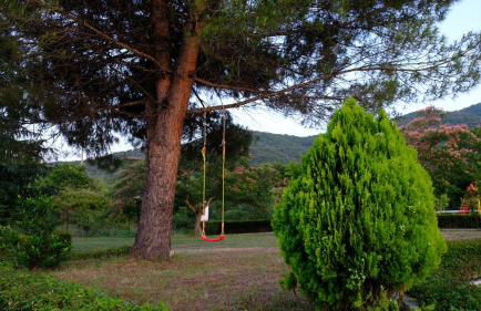 Casa Alegria - Photo 37