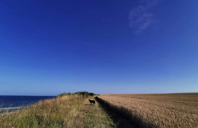 4 Person Holiday Home in Store Fuglede - Foto 10