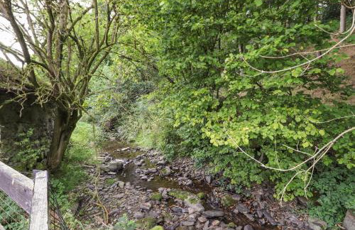 Nant Y Celyn - Foto 42