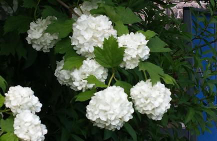 Casa Bellavista - Foto 53