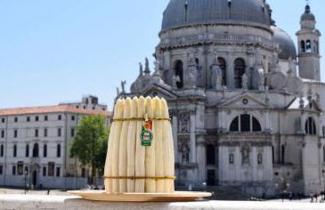 GrappaLand - Foto 52