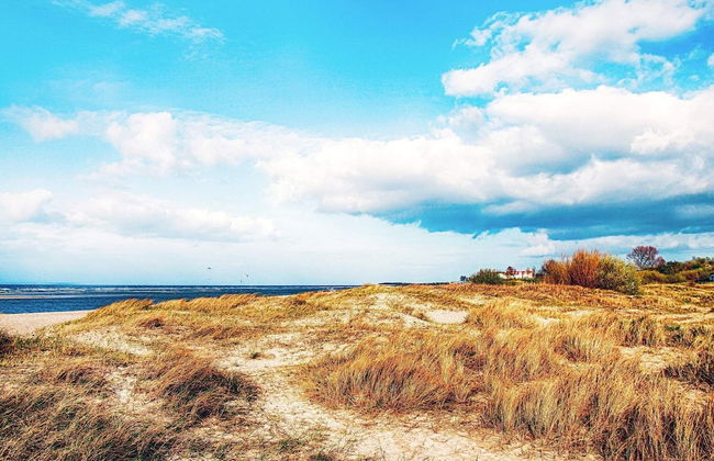 6 Personen Ferienhaus in Wendtorf - Foto 31
