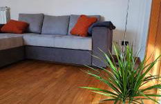 La chiocciola - Photo 7