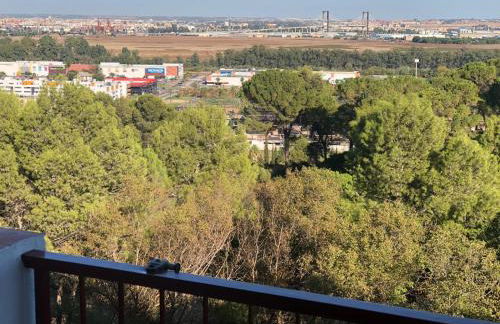 El Balcón de Sevilla - Foto 10