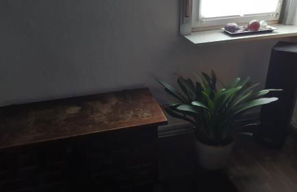 Ferienwohnung Kunterbunt - Foto 46