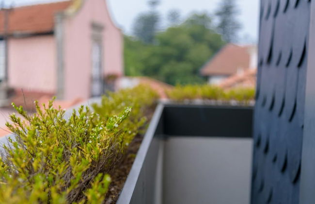 Home Of The Poet, 3-bed 3-bath River Views - Foto 15