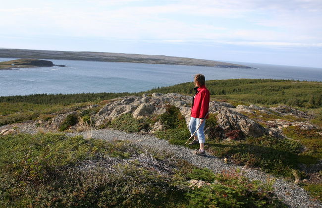 Burnt Cape Cabins - Foto 31