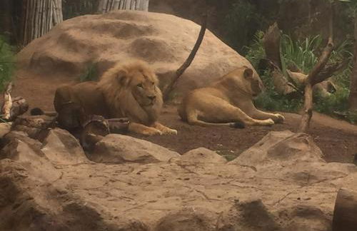 Grande appartamento Tenerife Los Abrigos - Foto 47